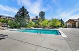 3615 Wolf Lodge Dr - Photo 16