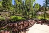 7457 Buckboard Dr - Photo 86