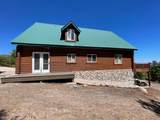 347 Cold Springs Dr - Photo 11