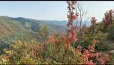 28 Deer Valley Dr - Photo 7