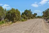 12615 Cedar Ridge Dr - Photo 7