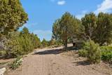 12615 Cedar Ridge Dr - Photo 9