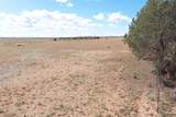 541 Coyote Rd - Photo 9