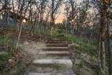 10873 Lostwood Dr - Photo 42