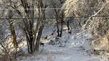 2340 5950 - Photo 57