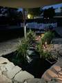 2683 Jean Way - Photo 49