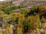 6532 Chaparal Rd - Photo 11