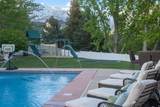 6208 Skyline Dr - Photo 39