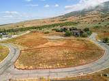 4032 Elk Ridge Trl - Photo 5