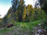 237 Marten Dr - Photo 4