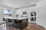 342 Rhyolite Dr - Photo 12