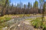 3020 Chalk Creek Rd - Photo 47