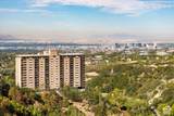 875 Donner Way - Photo 42
