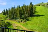 3267 Deer Hollow Rd - Photo 32