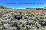 1646 Miles Hollow Rd - Photo 8