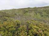 999 Hwy 39 - Photo 14