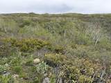 999 Hwy 39 - Photo 15