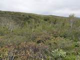 999 Hwy 39 - Photo 16