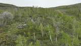 999 Hwy 39 - Photo 19