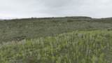 999 Hwy 39 - Photo 23