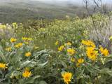 999 Hwy 39 - Photo 5