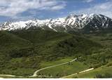 6000 Old Snow Basin Rd - Photo 8