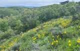 6000 Old Snow Basin Rd - Photo 9