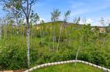2523 Aspen Springs Dr - Photo 78