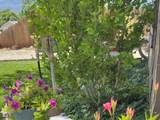 157 200 - Photo 20