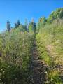 23165 Hillside Dr - Photo 10
