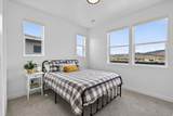 3106 Firefly Blvd - Photo 51