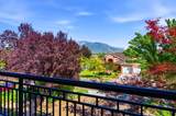 11266 Palisade View Dr - Photo 21