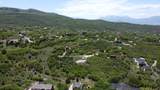 1629 Cedar Hollow Ct - Photo 23