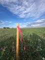 4732 1000 - Photo 19