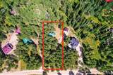 4443 Buck Way - Photo 1