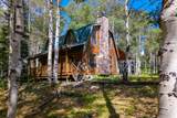 4443 Buck Way - Photo 4