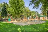 6226 Hawks Ln - Photo 71