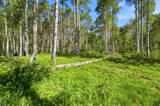 5339 Grouse Rd - Photo 13