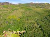 5339 Grouse Rd - Photo 3
