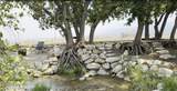 10975 17050 - Photo 11