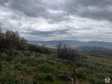 144 Bear Tooth Rdg - Photo 11