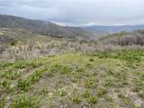 144 Bear Tooth Rdg - Photo 12