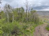 144 Bear Tooth Rdg - Photo 14