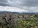 144 Bear Tooth Rdg - Photo 15