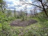 144 Bear Tooth Rdg - Photo 18