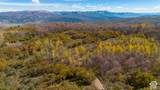 144 Bear Tooth Rdg - Photo 8