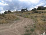700 Spring Canyon Dr - Photo 5