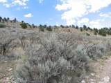 700 Spring Canyon Dr - Photo 6