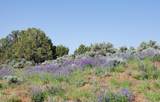 1251 Eastland Rd - Photo 64