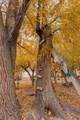 1757 1600 - Photo 11